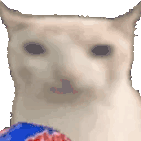 Eating cat