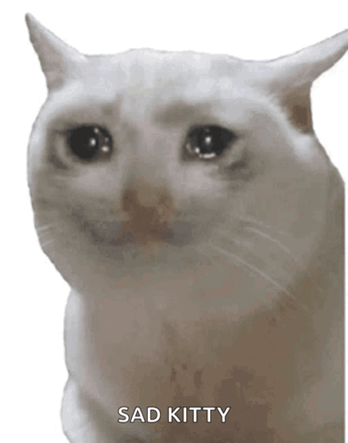 crying cat